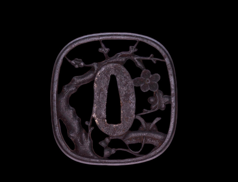 Antikes Japanisches Katana von Takada Jū Fujiwara Muneyuki - HOZON