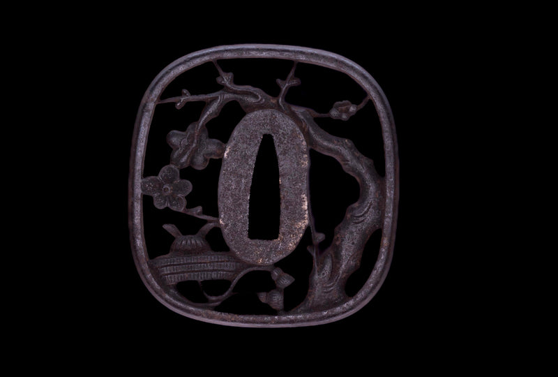 Antikes Japanisches Katana von Takada Jū Fujiwara Muneyuki - HOZON