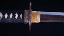 Antikes Japanisches Katana von Takada Jū Fujiwara Muneyuki - HOZON