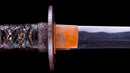 Antique Japanese Katana Sword by Takada Munekage - Late Muromachi - Double HOZON — Tamahagane