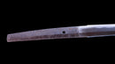 Antique Japanese Katana Sword by Takada Munekage - Late Muromachi - Double HOZON — Tamahagane