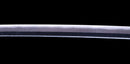 Antique Japanese Katana Sword by Takada Munekage - Late Muromachi - Double HOZON — Tamahagane