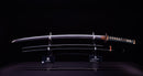 Antikes Japanisches Katana Schwert der Ishido-Schule - NBTHK Hozon