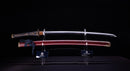 Antikes Japanisches Katana Schwert signiert Ienaga Saku - NBTHK Hozon