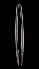 Wakizashi Shinano no Kami Fujiwara Daidō - NBTHK Tokubetsu Hozon