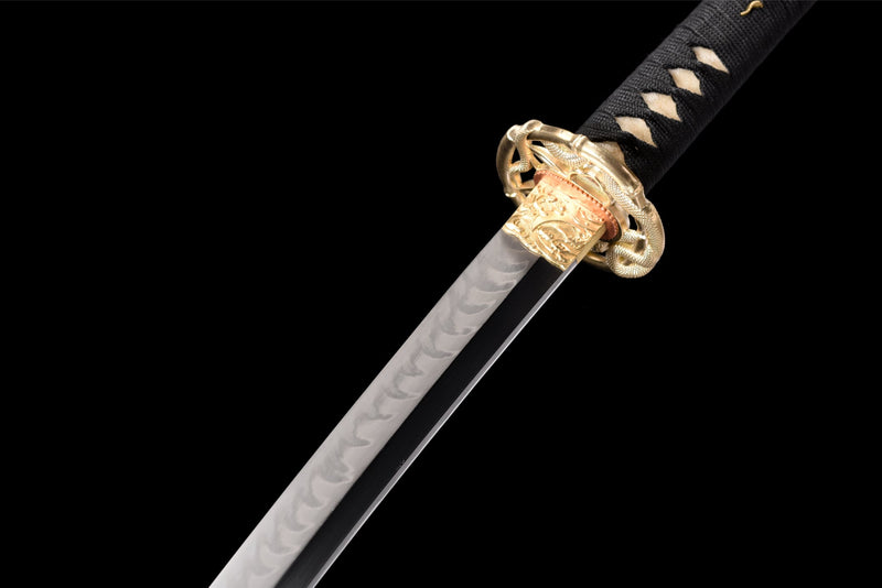 Katana Ryū no Hōkō 竜の咆哮