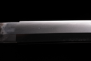 Ikeda Kazuhide Nyudo Ryuken Katana