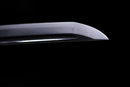 Naminohira Sadaku Katana