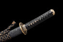 Wakizashi Ryu 竜
